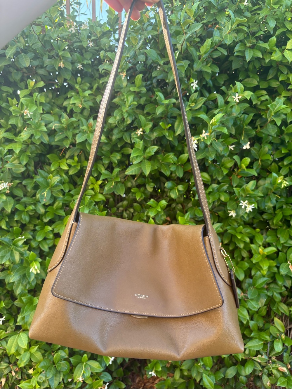 Coach Chelsea 30 Muted Olive